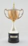 Image of : Trophy Havre Athletic Junior International