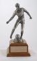 Image of : Tim Parry Memorial Trophy. Merseyside Co. Schools Cup Final.
