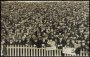 Image of : Postcard - Crowd scene, Cup Tie, Brighton v Everton, Hove 1913
